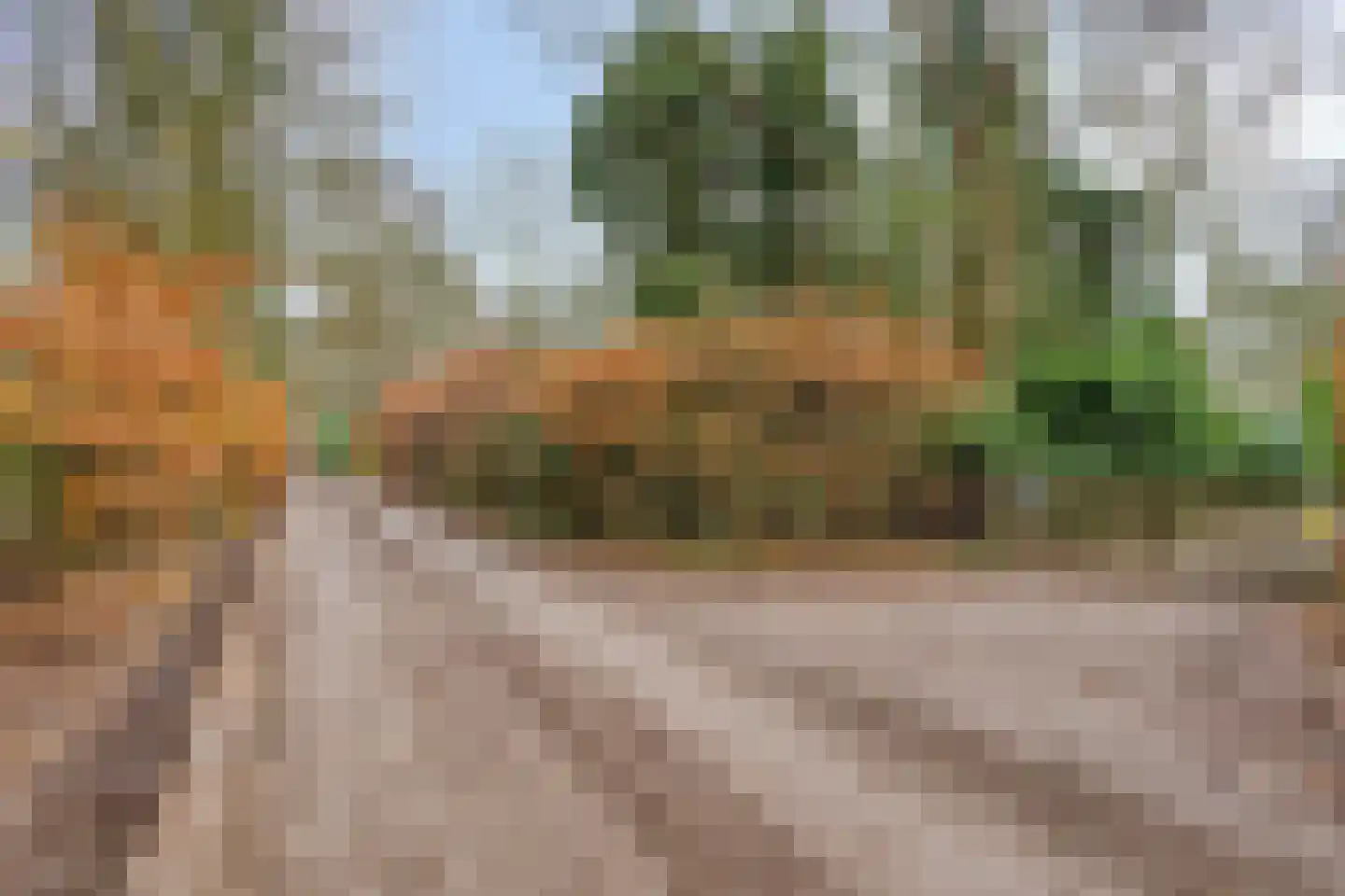 Oost Ravenweg 7 Epe thumbnail 79