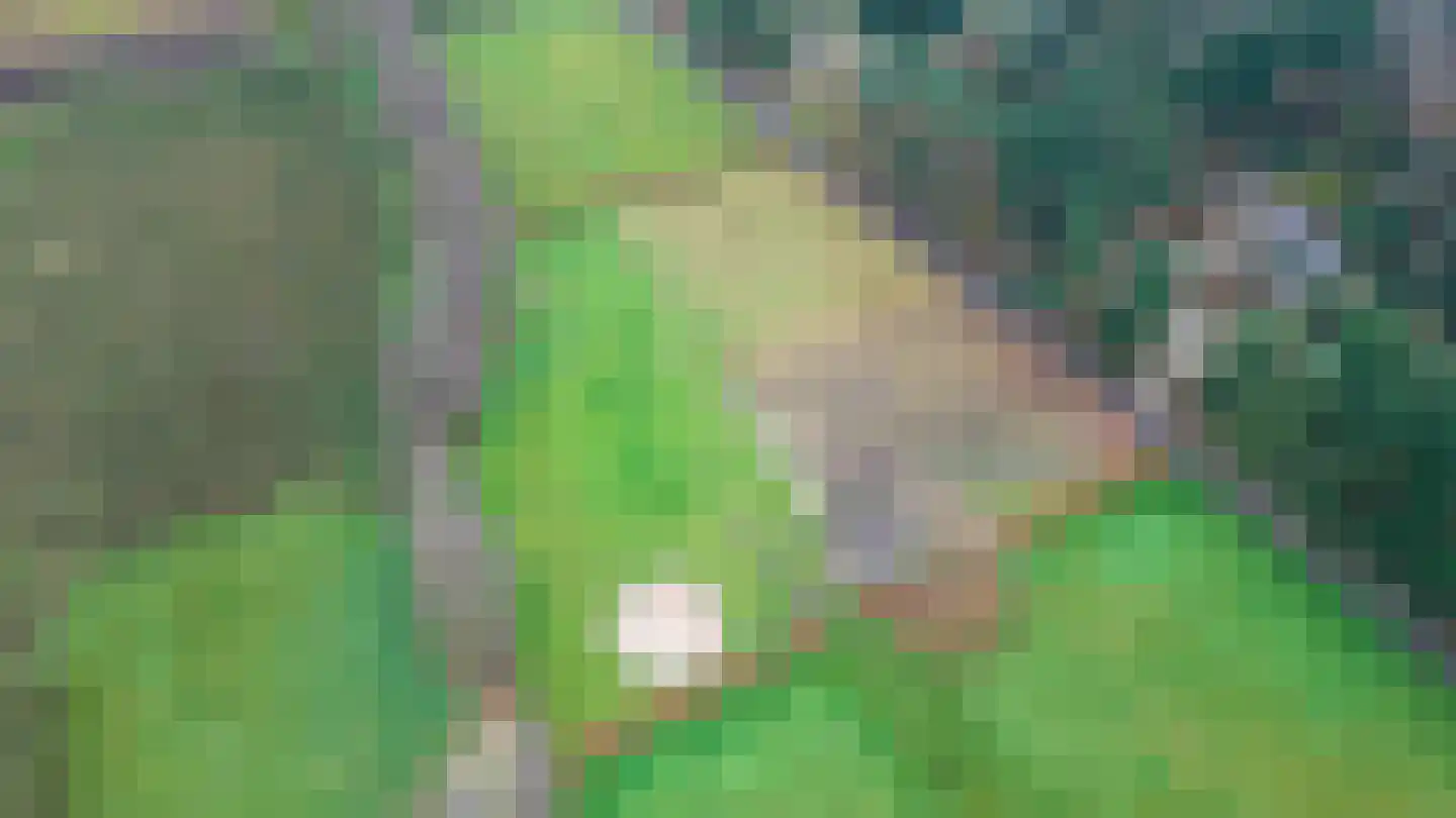 Oost Ravenweg 7 Epe thumbnail 80