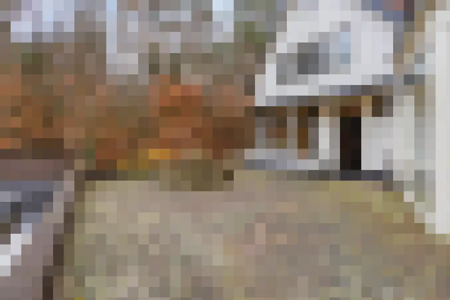 Oost Ravenweg 7 Epe thumbnail 9