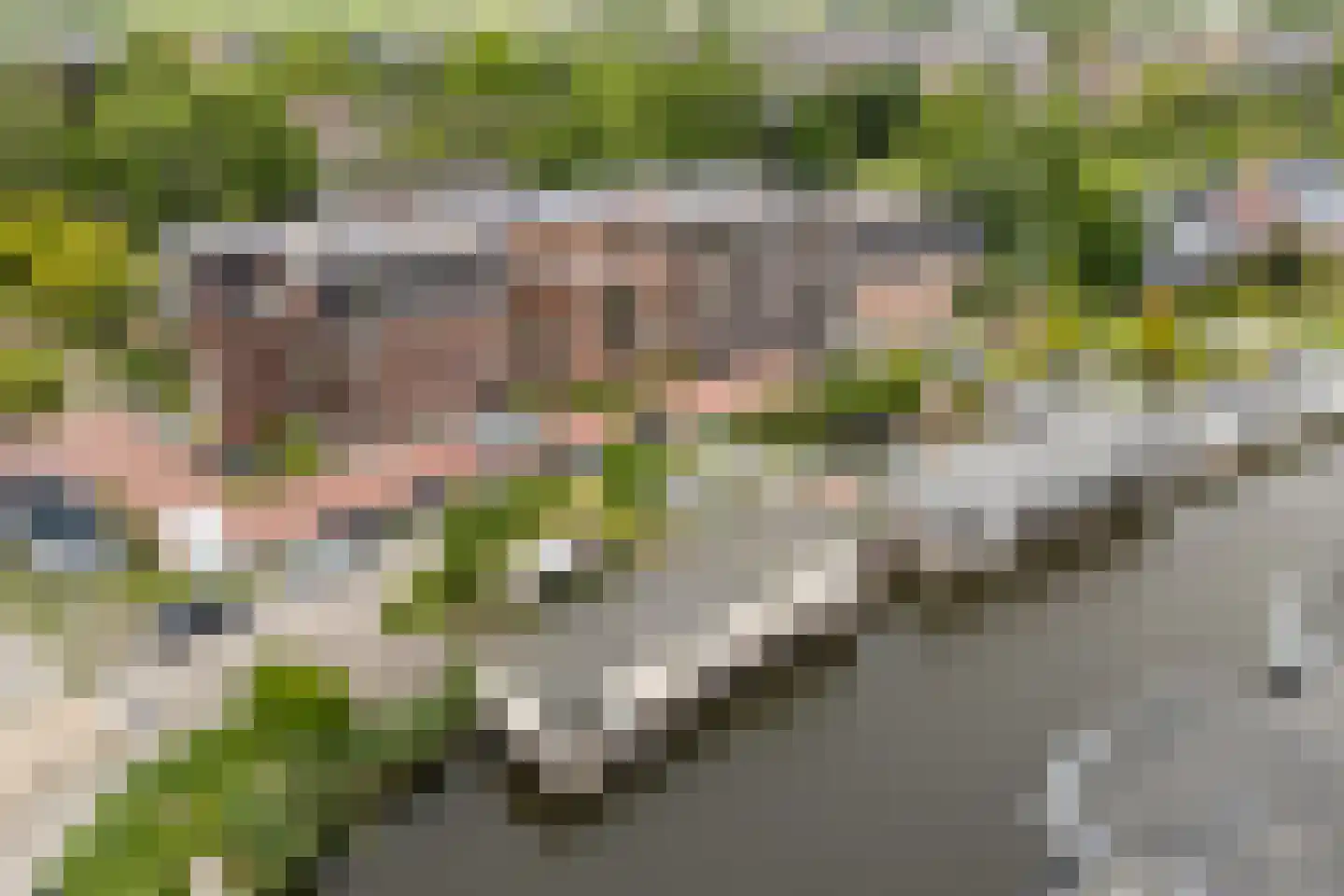 Oost Ringdijk 116 Moordrecht thumbnail 36
