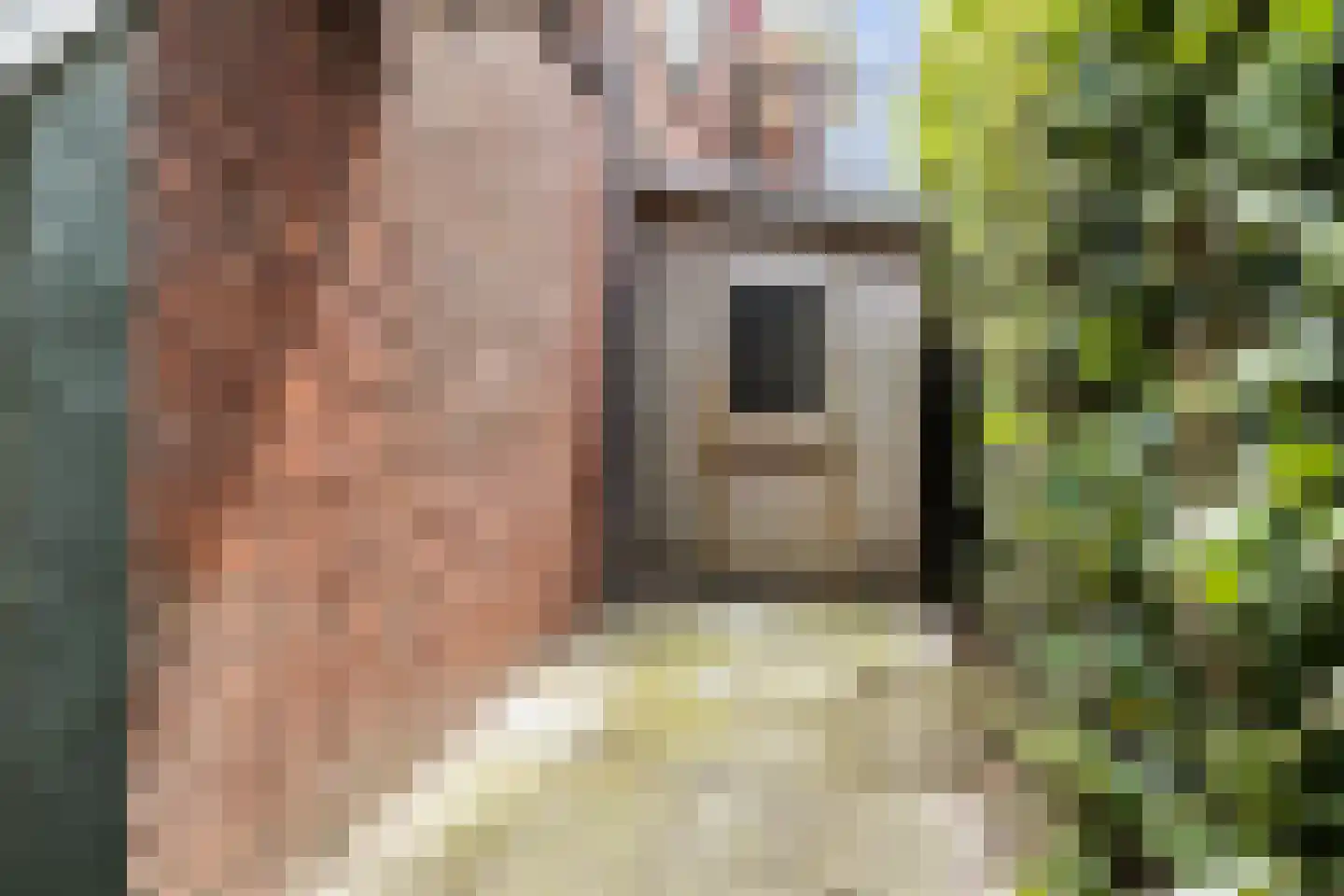 Oost Ringdijk 12 Moordrecht thumbnail 38
