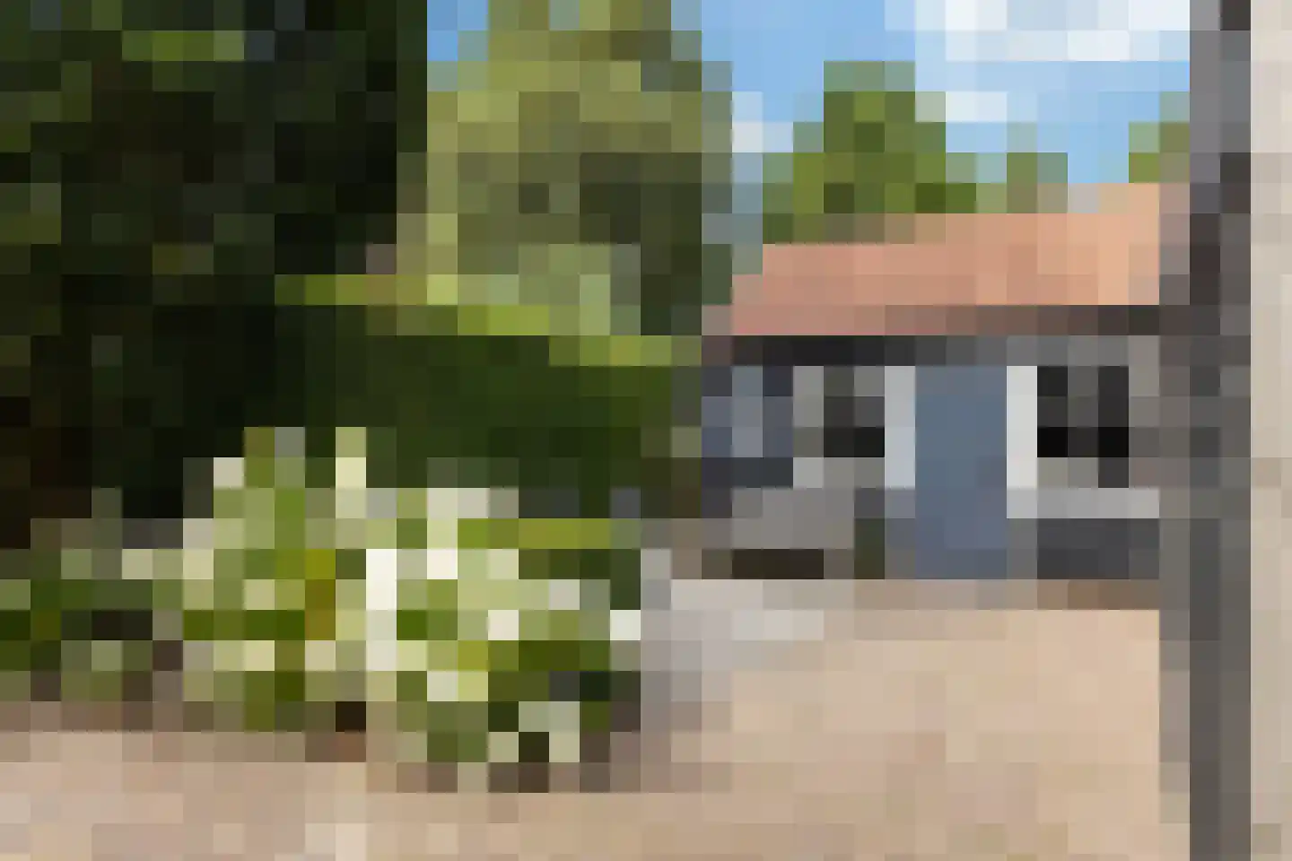 Oost Ringdijk 12 Moordrecht thumbnail 41