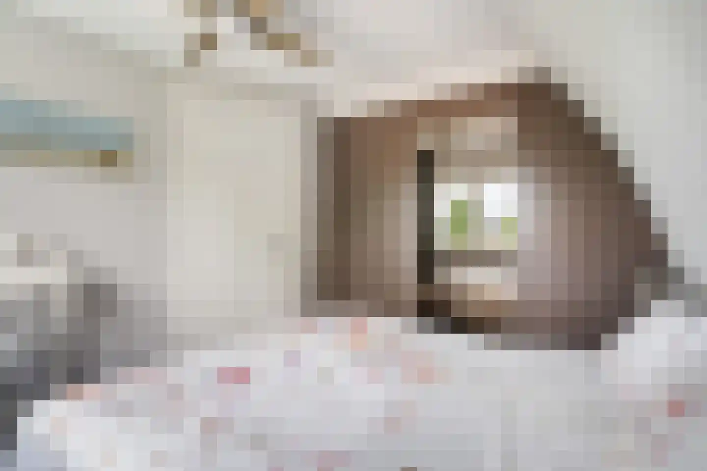 Oost Ringdijk 12 Moordrecht thumbnail 46