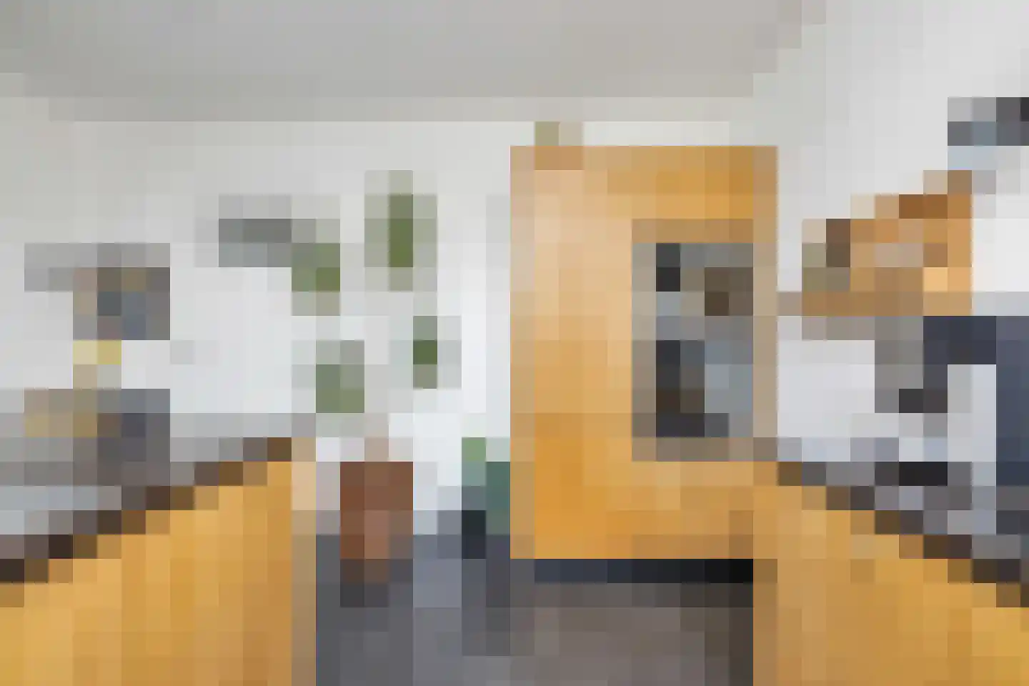 Oost Ringdijk 17 Moordrecht thumbnail 23
