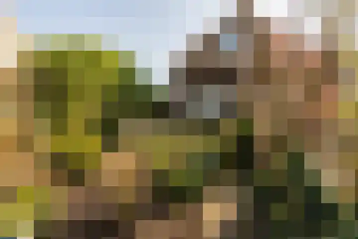 Oost Ringdijk 4 Moordrecht thumbnail 25