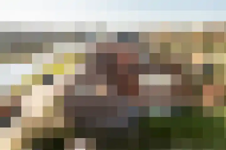 Oost Ringdijk 4 Moordrecht thumbnail 53
