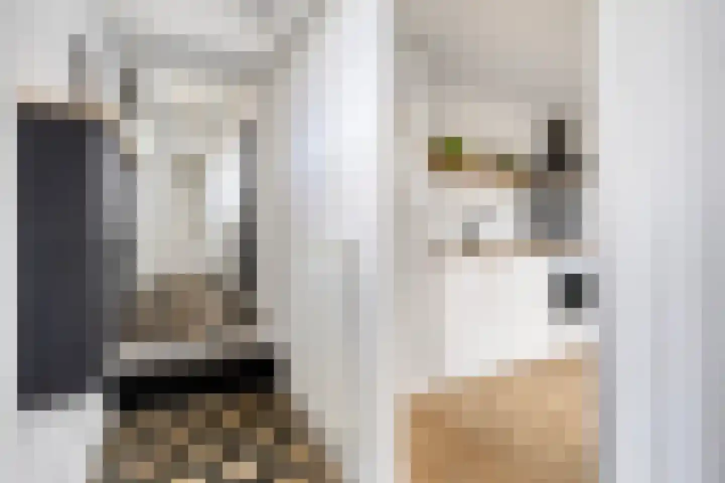 Oost Vaardeke 2 Oudenbosch thumbnail 10