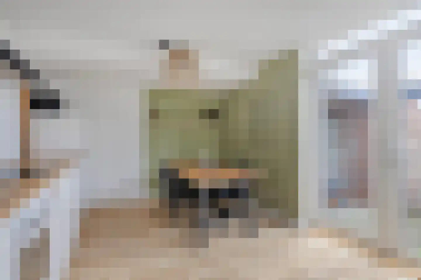 Oost Vaardeke 2 Oudenbosch thumbnail 12