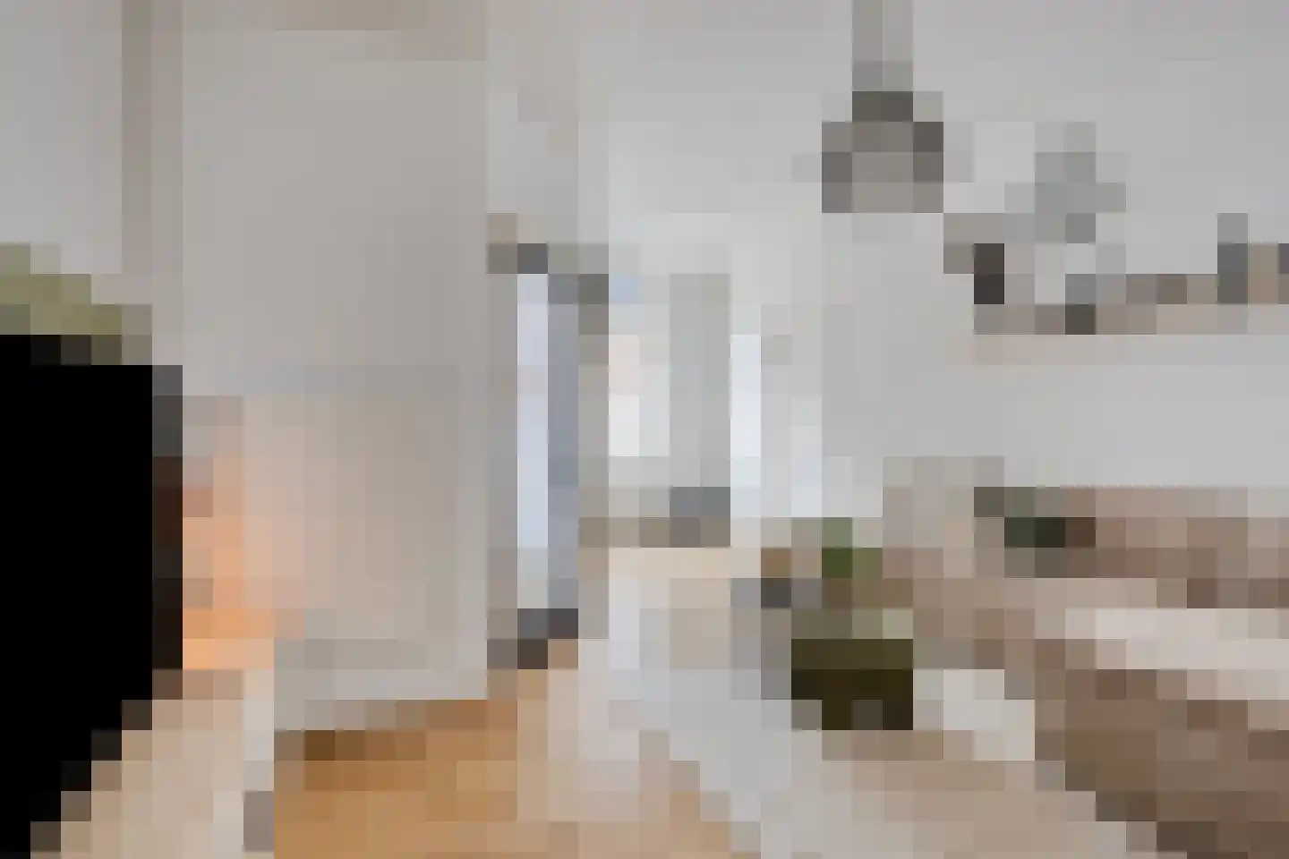 Oost Vaardeke 2 Oudenbosch thumbnail 4
