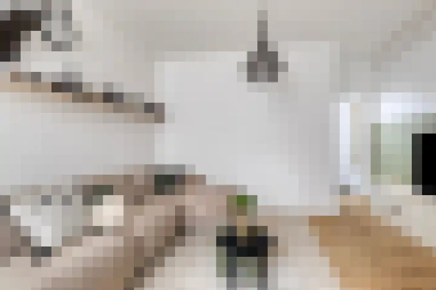 Oost Vaardeke 2 Oudenbosch thumbnail 6