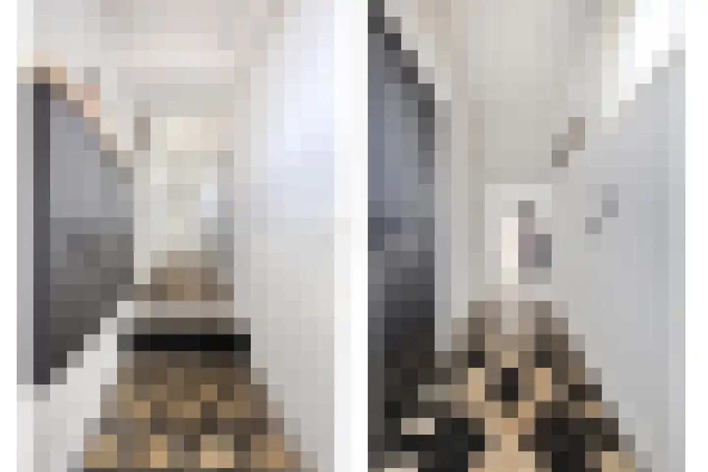 Oost Vaardeke 2 Oudenbosch thumbnail 7