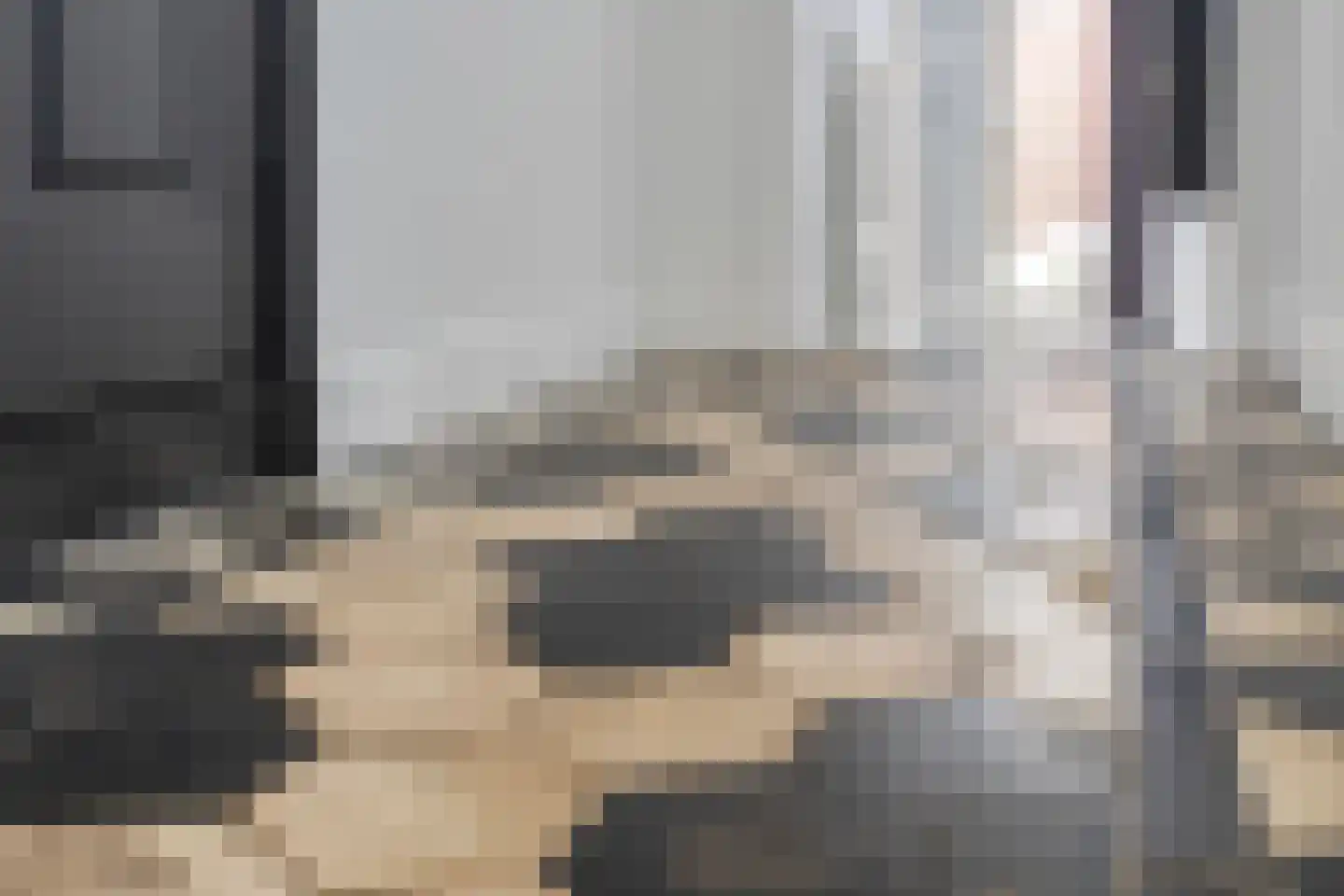 Oost Vaardeke 2 Oudenbosch thumbnail 8