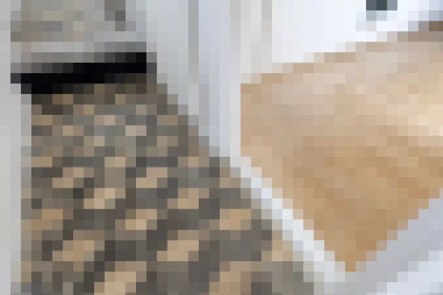 Oost Vaardeke 2 Oudenbosch thumbnail 9
