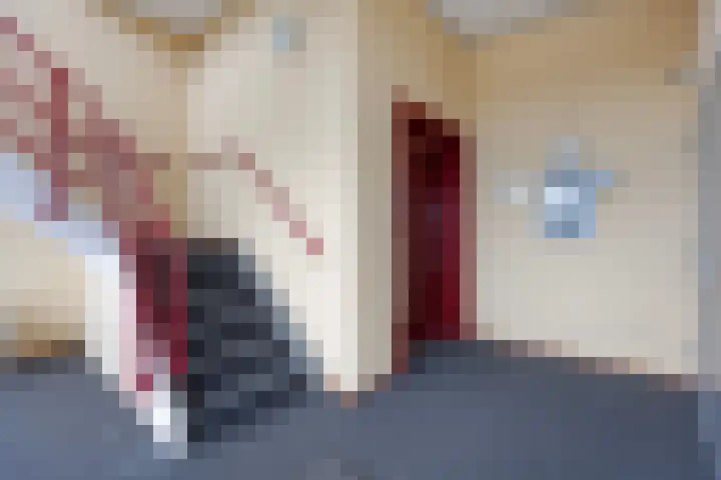 Oost Vaardeke 47 Oudenbosch thumbnail 9