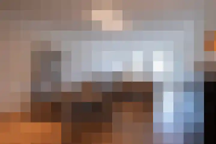 Oost Vaardeke 49 Oudenbosch thumbnail 9