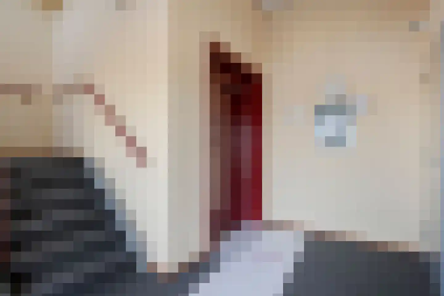 Oost Vaardeke 51 Oudenbosch thumbnail 6