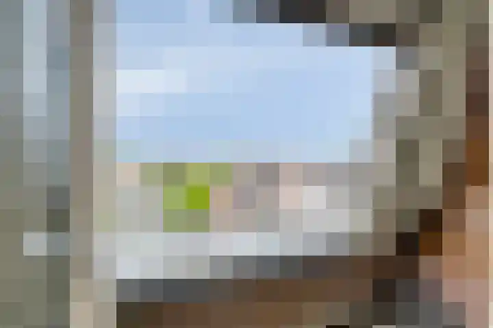 Oost Vaardeke 71 Oudenbosch thumbnail 23