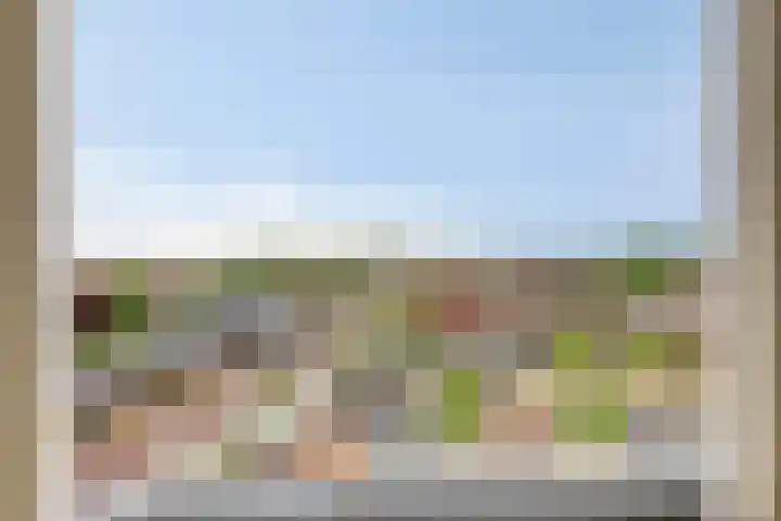 Oost Vaardeke 71 Oudenbosch thumbnail 27