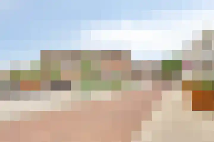 Oost Vaardeke 71 Oudenbosch thumbnail 32