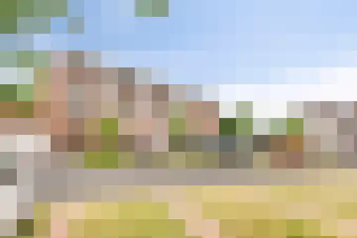 Oost Vaardeke 71 Oudenbosch thumbnail 33