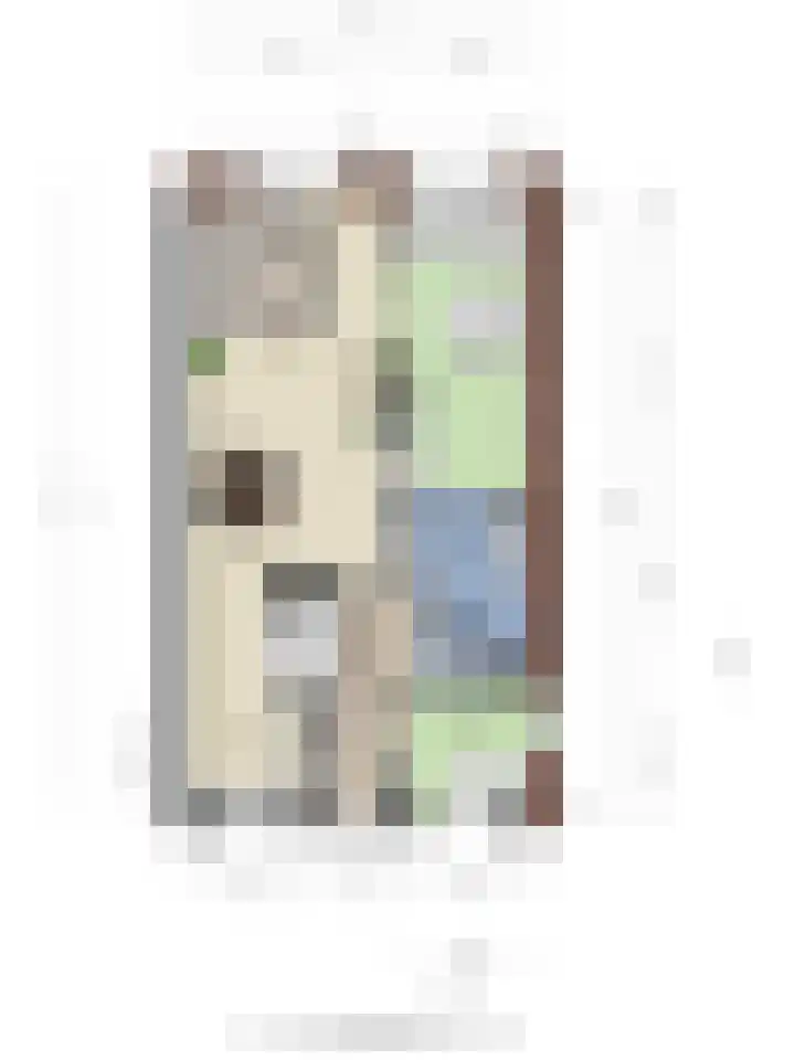 Oost Vaardeke 71 Oudenbosch thumbnail 36