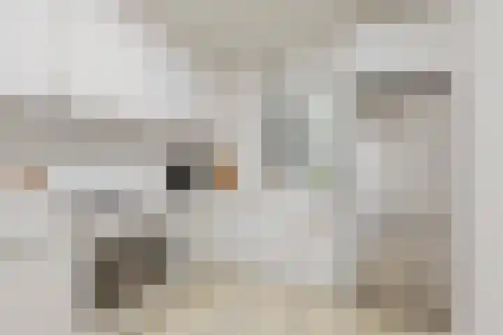 Oost Vaardeke 71 Oudenbosch thumbnail 5