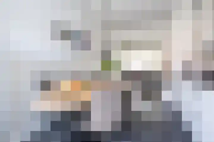Oost Voorgors 10 Middelharnis thumbnail 13