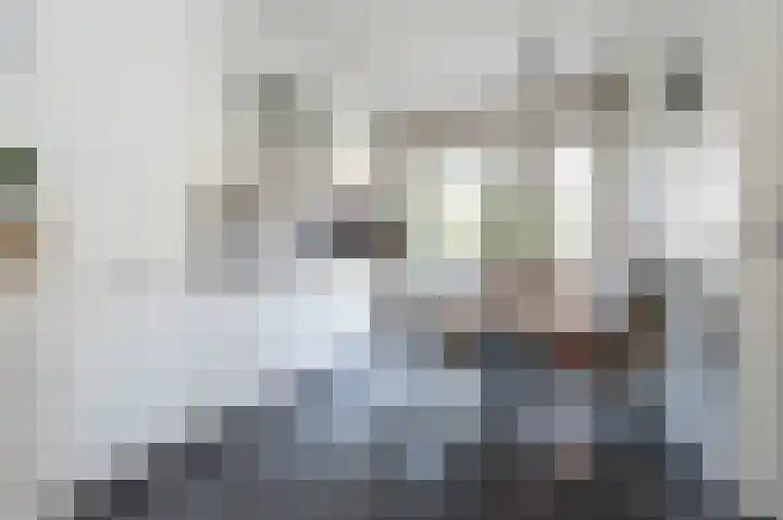 Oost Voorgors 10 Middelharnis thumbnail 16