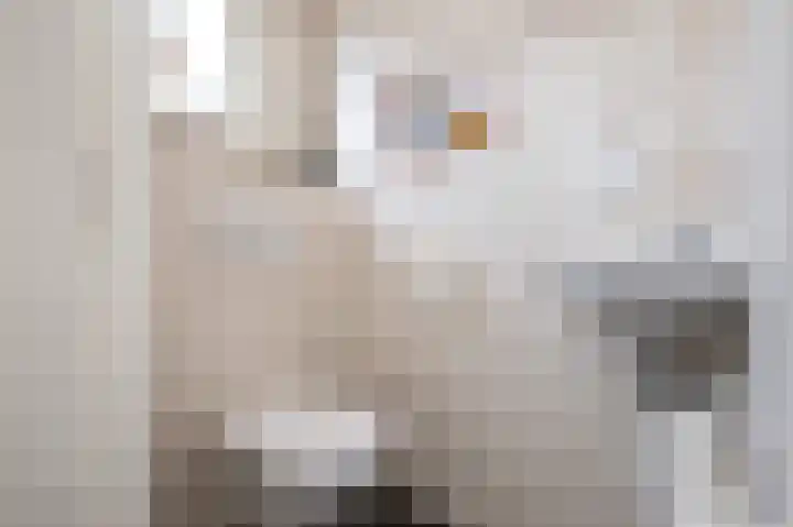 Oost Voorgors 10 Middelharnis thumbnail 18