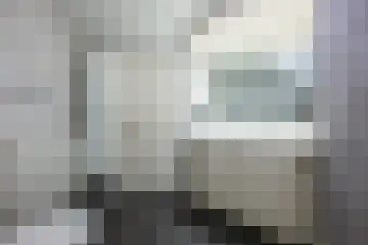 Oost Voorgors 10 Middelharnis thumbnail 29