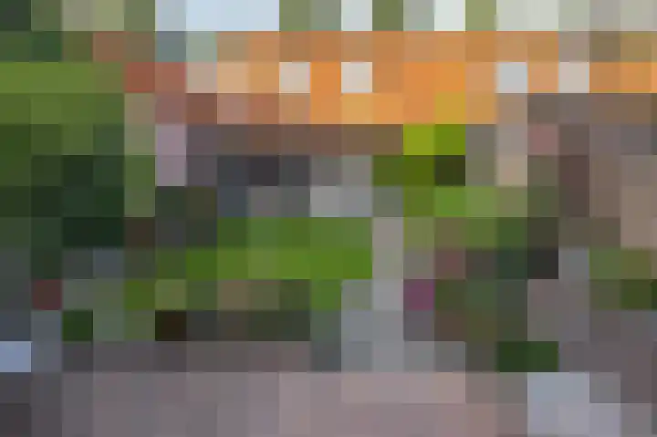 Oost Voorgors 10 Middelharnis thumbnail 33