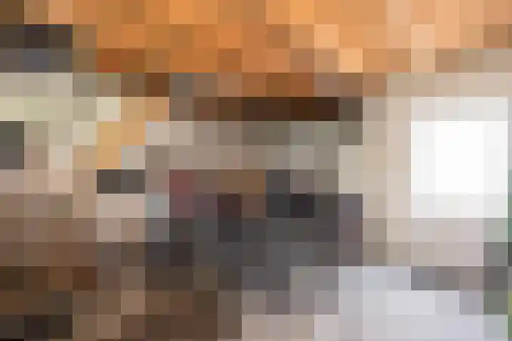 Oost Voorgors 10 Middelharnis thumbnail 39
