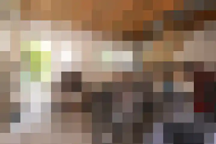 Oost Voorgors 10 Middelharnis thumbnail 40