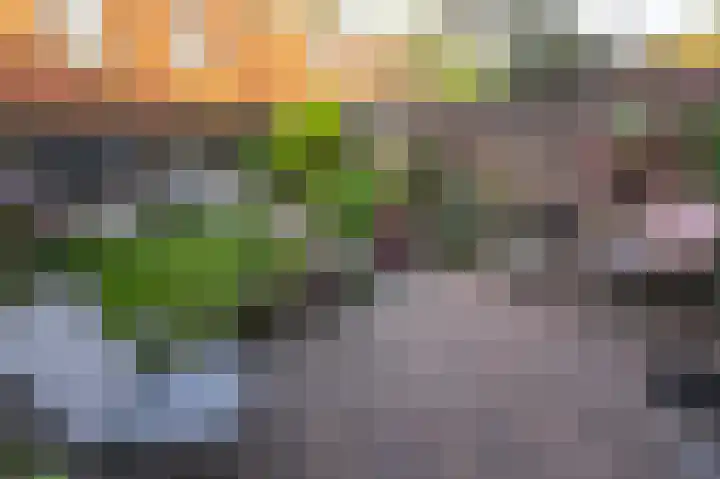Oost Voorgors 10 Middelharnis thumbnail 42