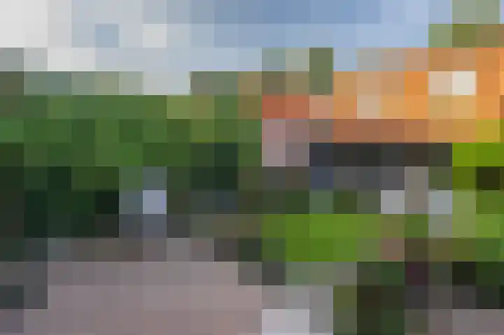 Oost Voorgors 10 Middelharnis thumbnail 43