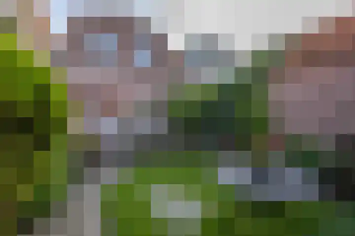 Oost Voorgors 10 Middelharnis thumbnail 44