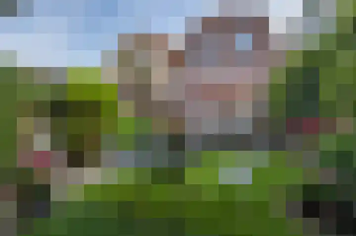 Oost Voorgors 10 Middelharnis thumbnail 45