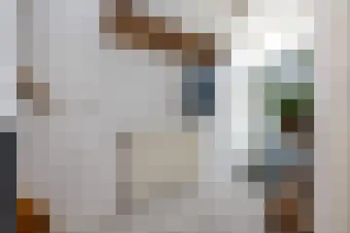 Oost Voorgors 10 Middelharnis thumbnail 5