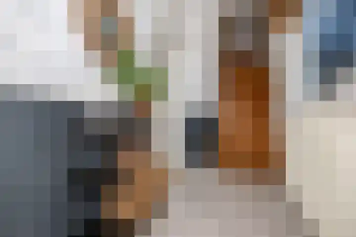 Oost Voorgors 10 Middelharnis thumbnail 6