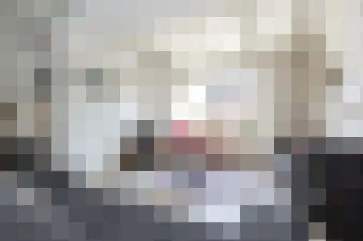 Oost Voorgors 10 Middelharnis thumbnail 7