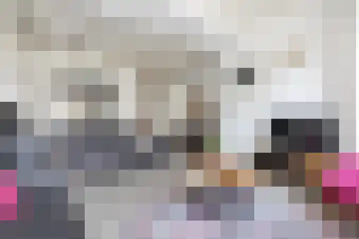 Oost Voorgors 10 Middelharnis thumbnail 9