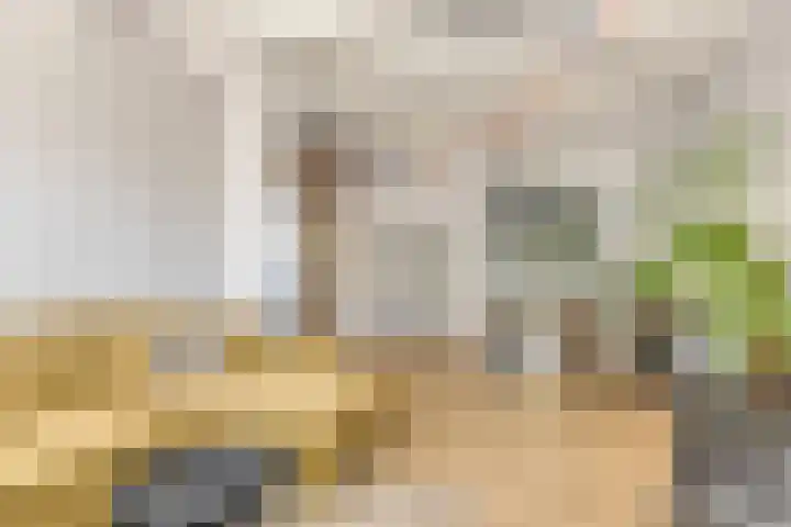 Oost Voorgors 21 Middelharnis thumbnail 11