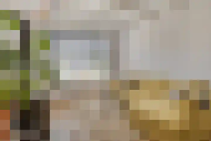 Oost Voorgors 21 Middelharnis thumbnail 12