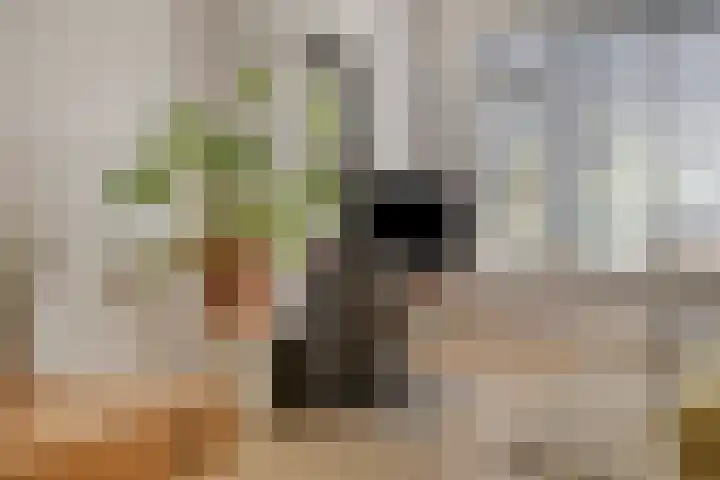 Oost Voorgors 21 Middelharnis thumbnail 16