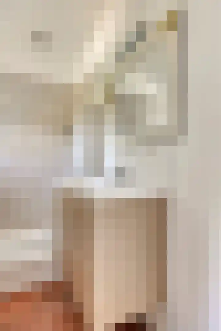 Oost Voorgors 21 Middelharnis thumbnail 18