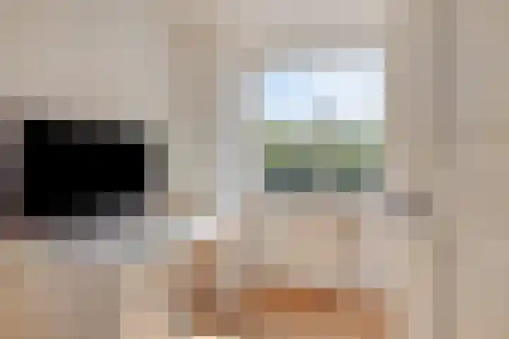 Oost Voorgors 21 Middelharnis thumbnail 27