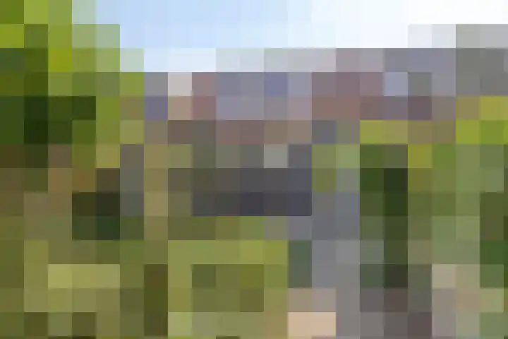 Oost Voorgors 21 Middelharnis thumbnail 30