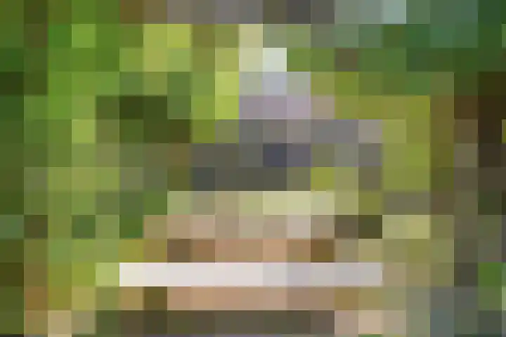 Oost Voorgors 21 Middelharnis thumbnail 31