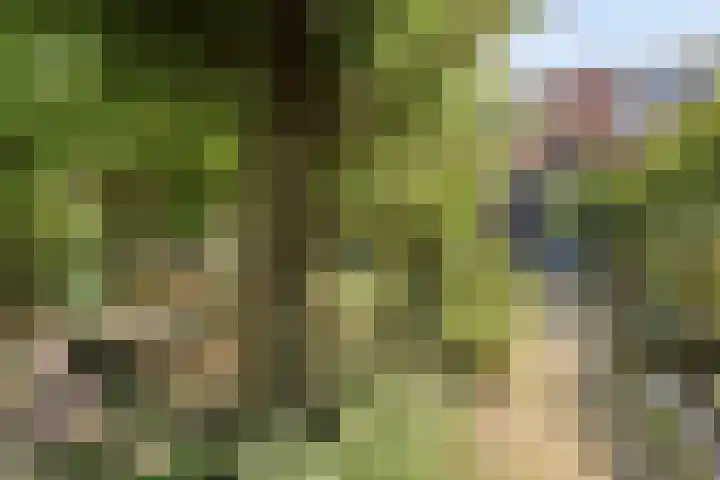Oost Voorgors 21 Middelharnis thumbnail 32