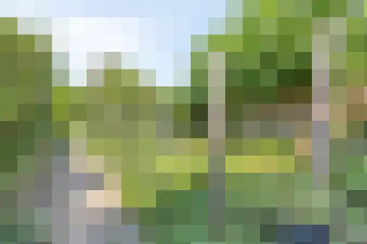 Oost Voorgors 21 Middelharnis thumbnail 33